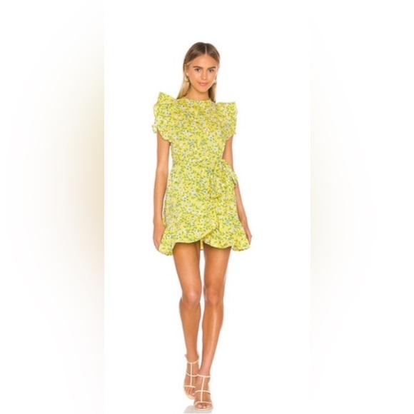 Banjanan Audrey Mini Dress - Picture 2 of 8